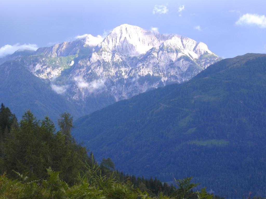 Gasthof Zum Loewen Sankt Jakob im Lesachtal Bagian luar foto