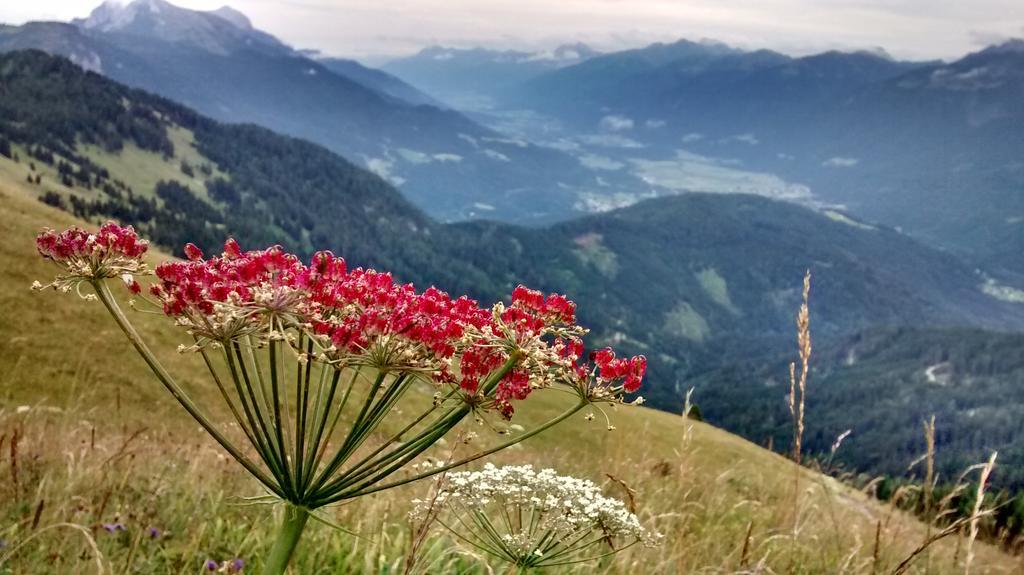 Gasthof Zum Loewen Sankt Jakob im Lesachtal Bagian luar foto