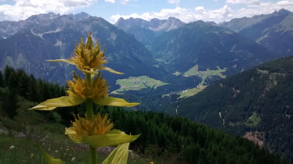 Gasthof Zum Loewen Sankt Jakob im Lesachtal Bagian luar foto