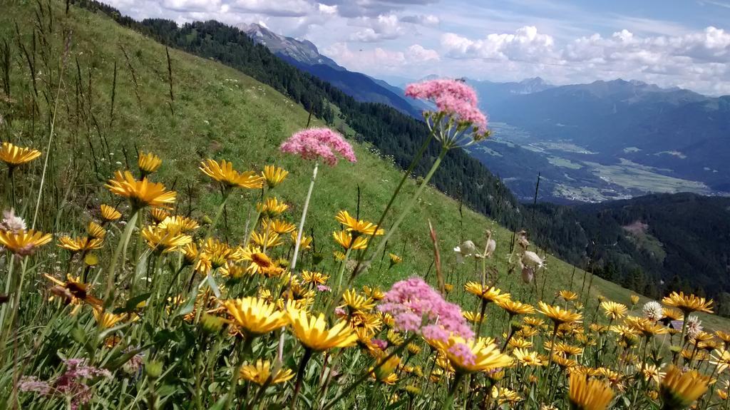 Gasthof Zum Loewen Sankt Jakob im Lesachtal Bagian luar foto