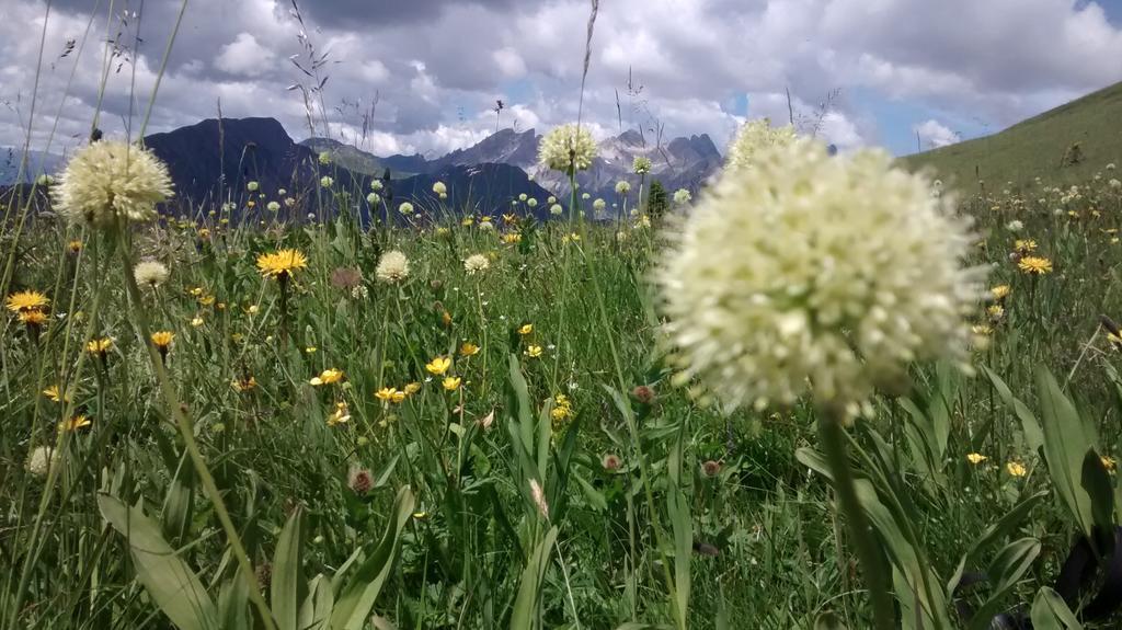 Gasthof Zum Loewen Sankt Jakob im Lesachtal Bagian luar foto