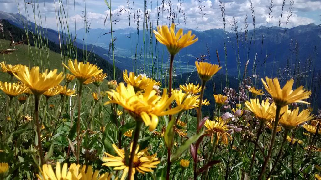 Gasthof Zum Loewen Sankt Jakob im Lesachtal Bagian luar foto